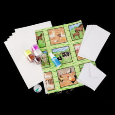 Glitter Magic 3D Fabric Decoupage Kit - On the Farm 226366 Glitter Magic
