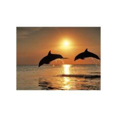Diamond Painting Kits Playing Dolphins AZ-1089