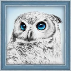 Diamond Painting Kits Owl AZ-1549