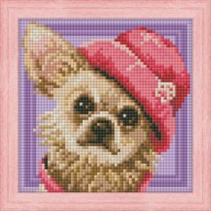 Diamond Painting Kits Chihuahua AZ-1569
