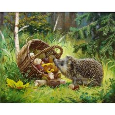 Diamond Painting Kits Lucky (Hedgehog) WD079