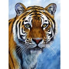 Diamond Painting Kits Tiger WD309